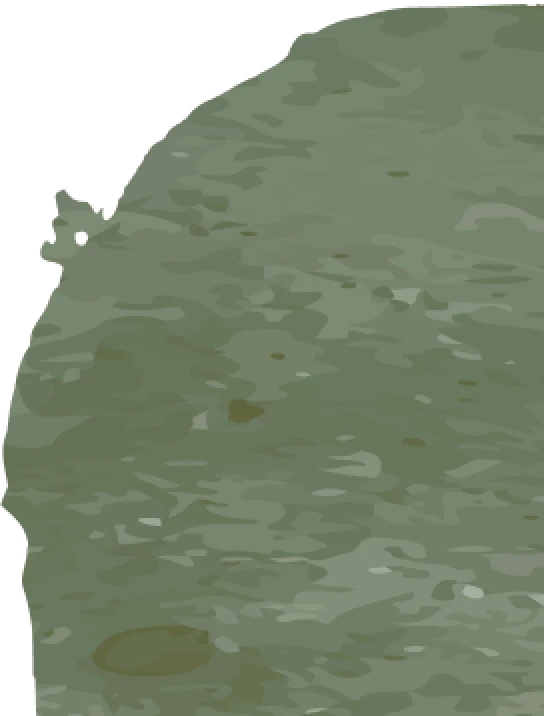 tâche verte
