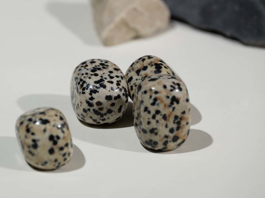 Pierre roulée Jaspe Dalmatien
