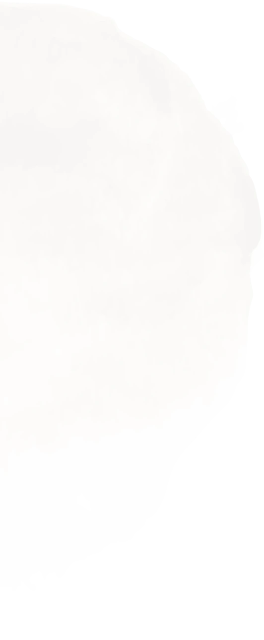 Tâche blanche