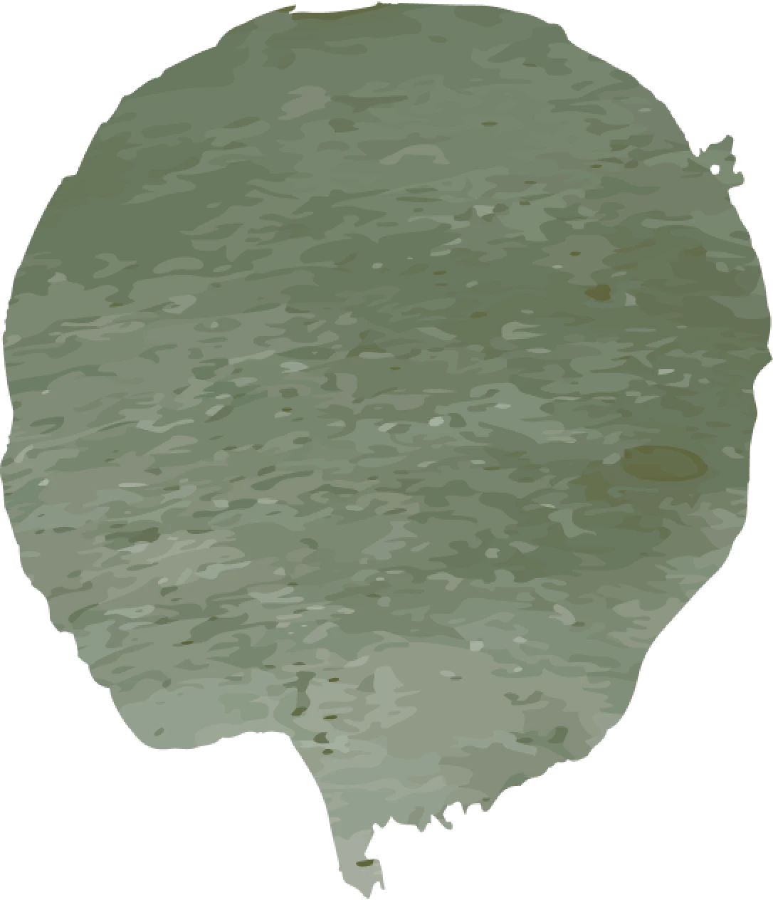 tâche verte