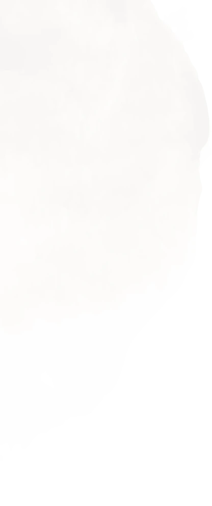 tâche blanche