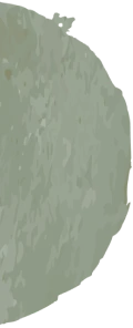 tâche verte
