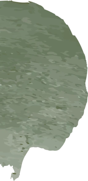tâche verte